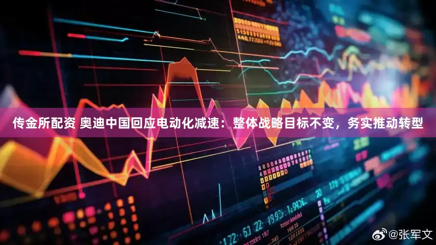 传金所配资 奥迪中国回应电动化减速：整体战略目标不变，务实推动转型